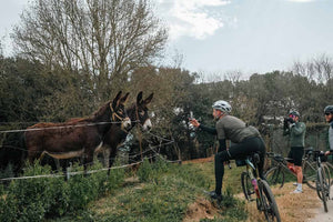 Catalan x Overland